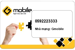 Sim Gmobile 0592223333 