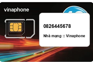 Sim Vinaphone 0826445678 