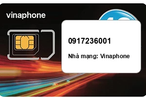 Sim Vinaphone 0917236001 