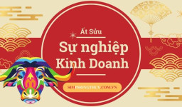 Dự Đoán Sự Nghiệp Kinh Doanh Tuổi 1985 Ất Sửu Năm 2025