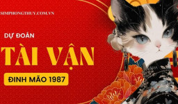 Dự Đoán Tài Vận Tuổi Đinh Mão 1987 Năm 2025: Chú Ý Thất Thoát