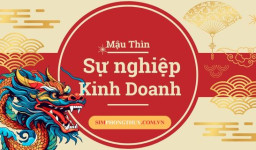 Biến Động Sự Nghiệp Kinh Doanh Tuổi Mậu Thìn 1988 Năm 2025