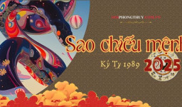 Sao Chiếu Mệnh Tuổi Kỷ Tỵ 1989 Năm 2025: Nam La Hầu, Nữ Kế Đô