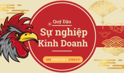 Xem Bói Sự Nghiệp, Kinh Doanh Tuổi Quý Dậu 1993 Năm 2025